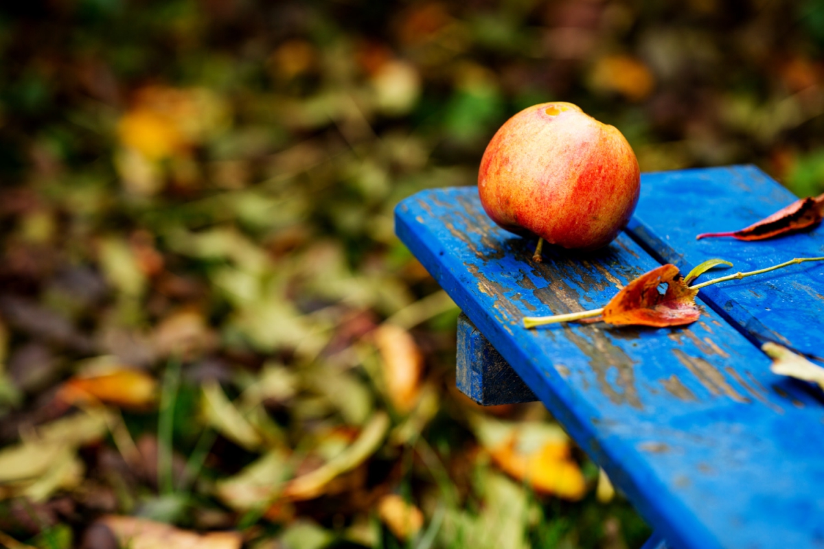 Dehner Werbefotografie Rampant Pictures Fotograf Ulm