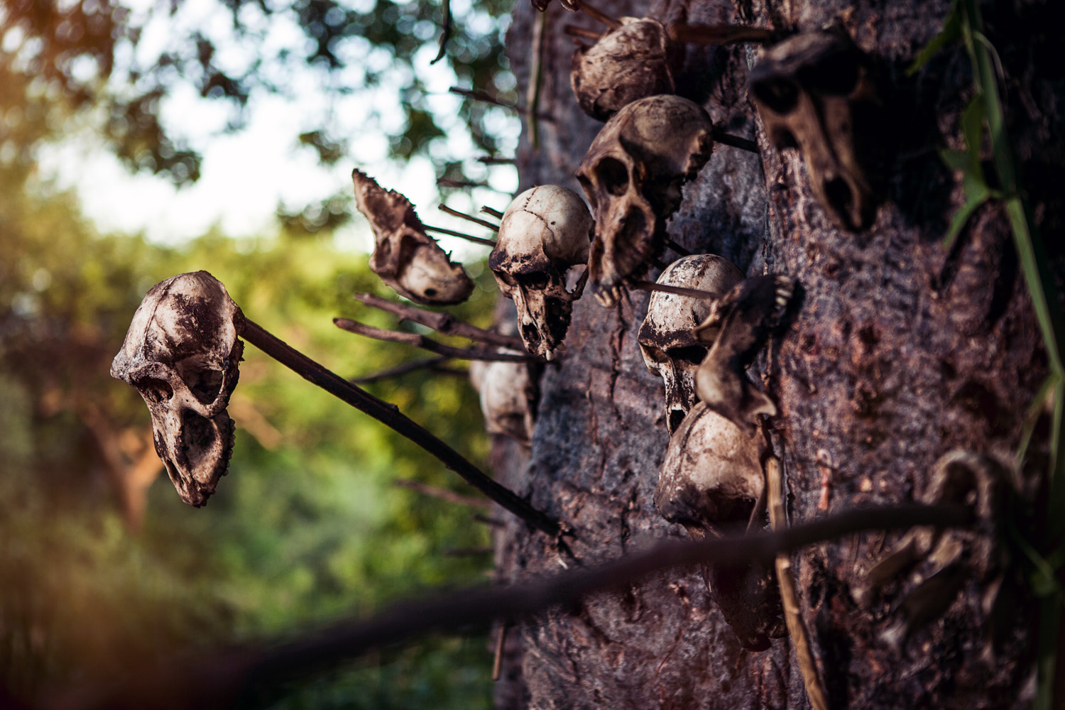 reportagefotografie hadza tansania