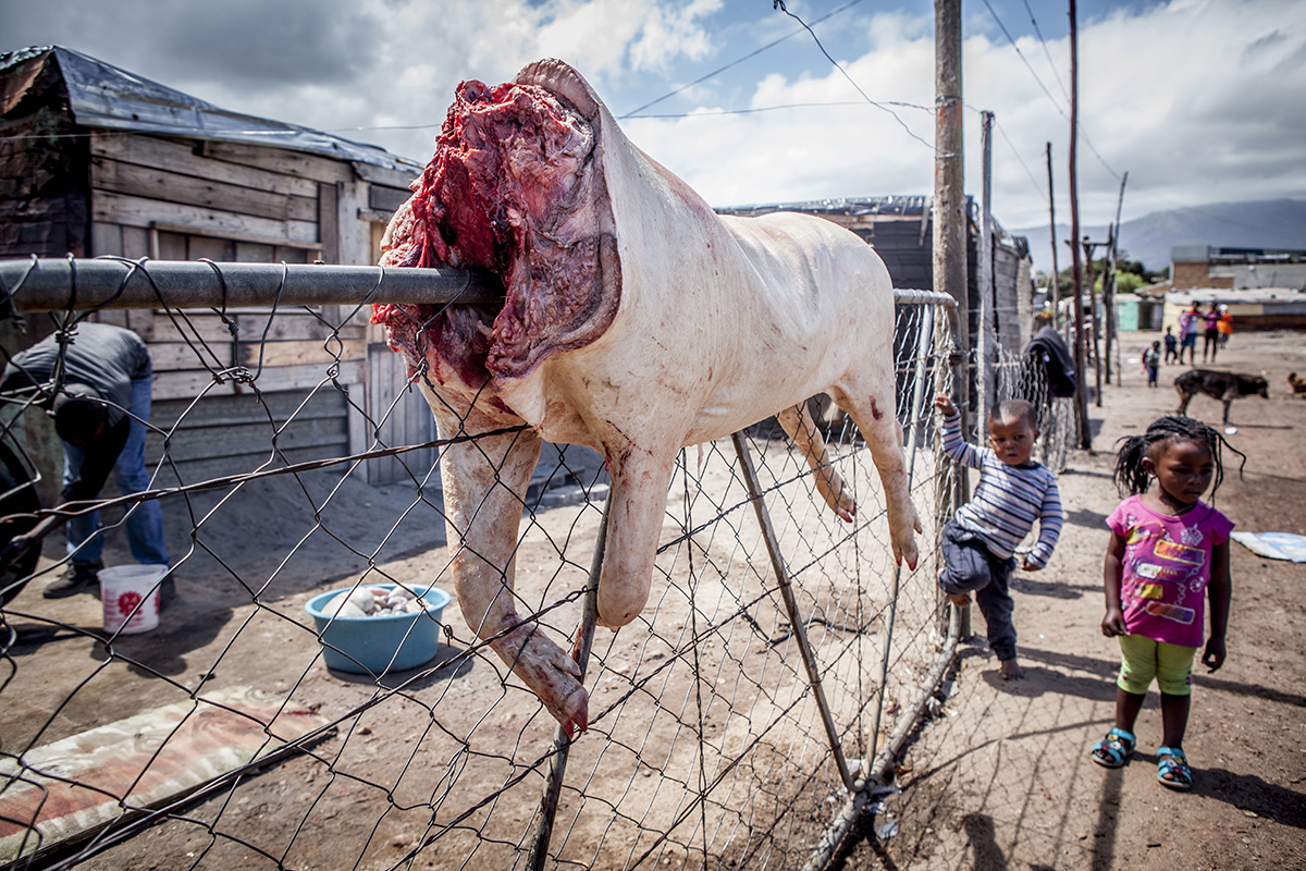 Werbefotografie, Industriefotografie, Reportagefotografie, die Fotografen für Unternehmen und Agenturen in Ulm | München | Lindau | Kontakt: 0731/60317747