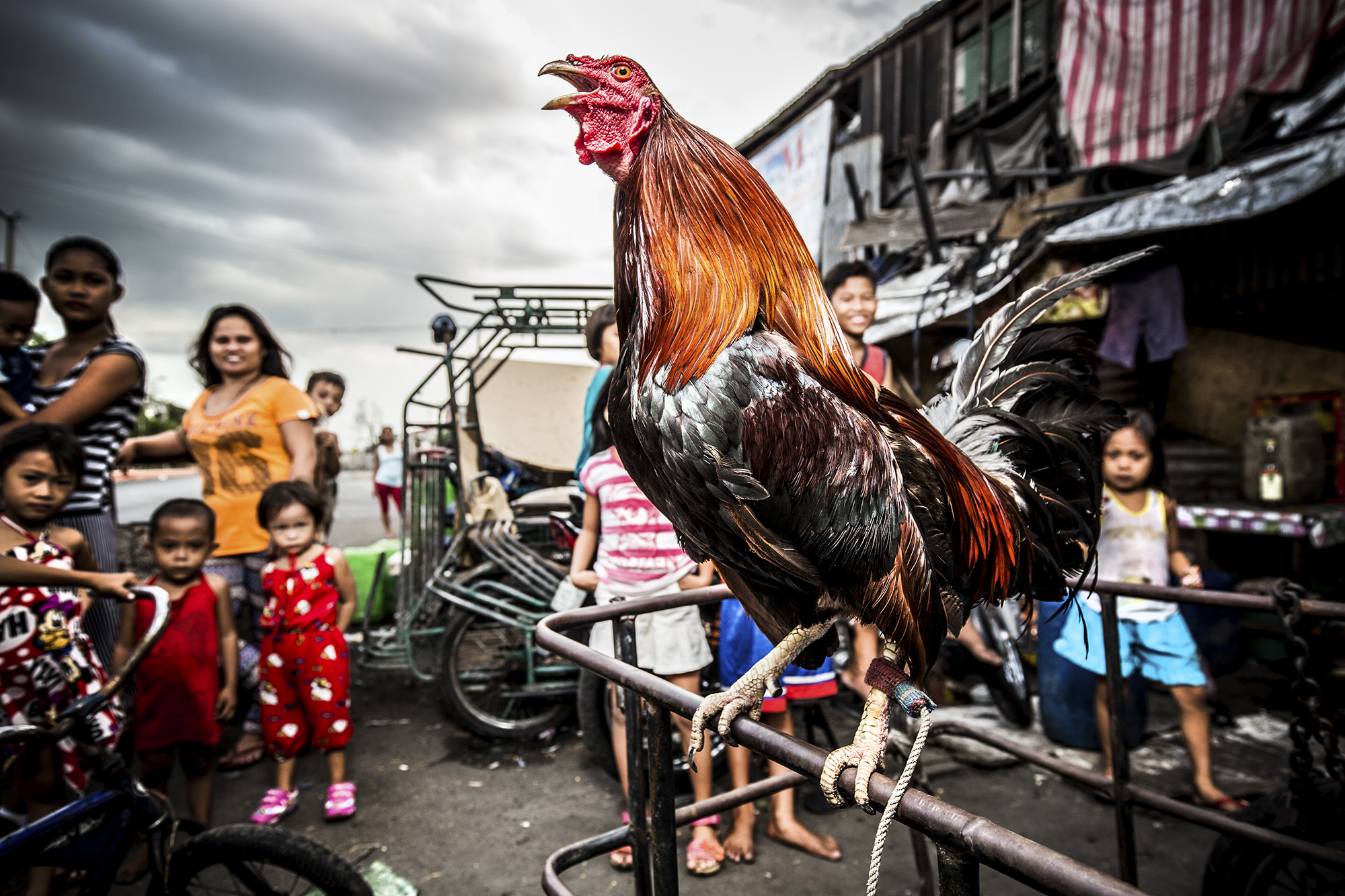 rampant pictures; bagong silang; manila; slum; photojournalism; metromanila; happyland manila; Philippines; Barangay 105, Tondo Manila, Philippines